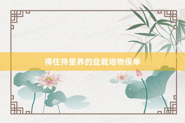 得住持里养的盆栽培物保举
