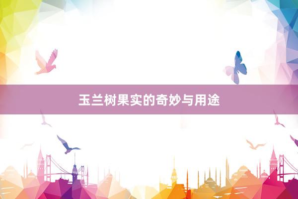 玉兰树果实的奇妙与用途