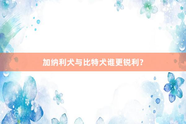 加纳利犬与比特犬谁更锐利？
