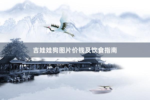 吉娃娃狗图片价钱及饮食指南