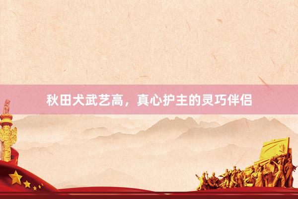秋田犬武艺高,真心护主的灵巧伴侣